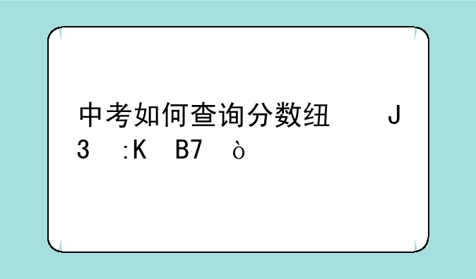 中考如何查询分数线和排名？