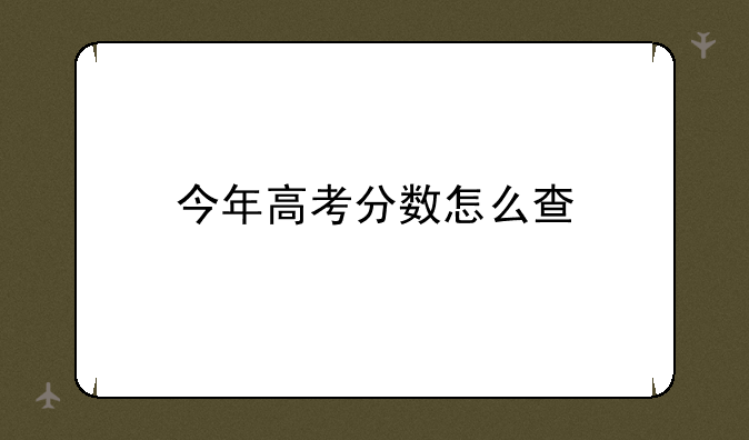 今年高考分数怎么查