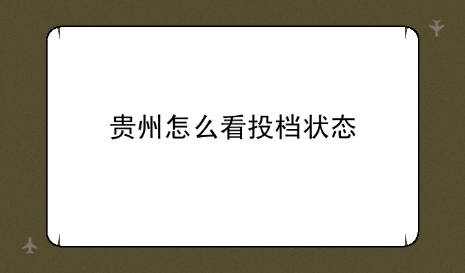 贵州怎么看投档状态