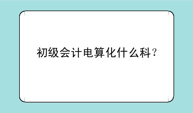 初级会计电算化什么科？