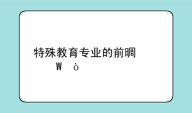 特殊教育专业的前景如何？