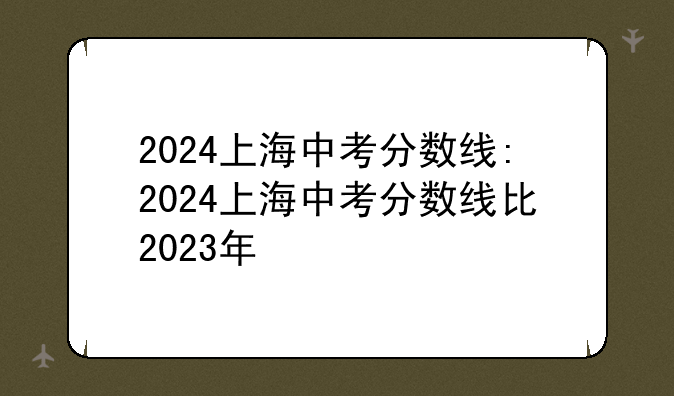 2024上海中考分数线:2024上海中考分数线比2023年